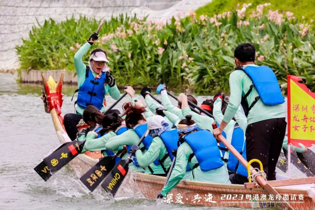 定了！深圳又有龙舟赛看了，时间、地点→