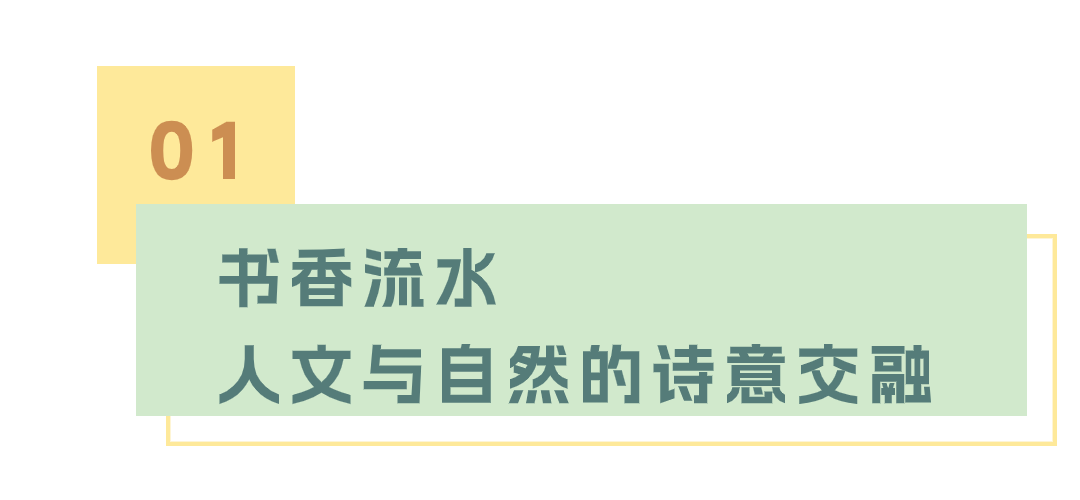 龙舟竞速，生态漫步！端午来看大沙河美如画