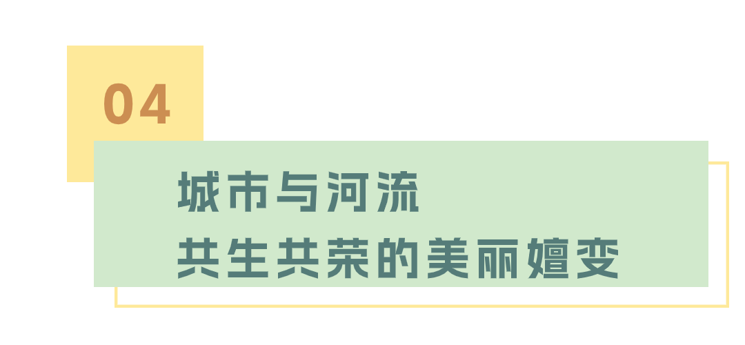 龙舟竞速，生态漫步！端午来看大沙河美如画