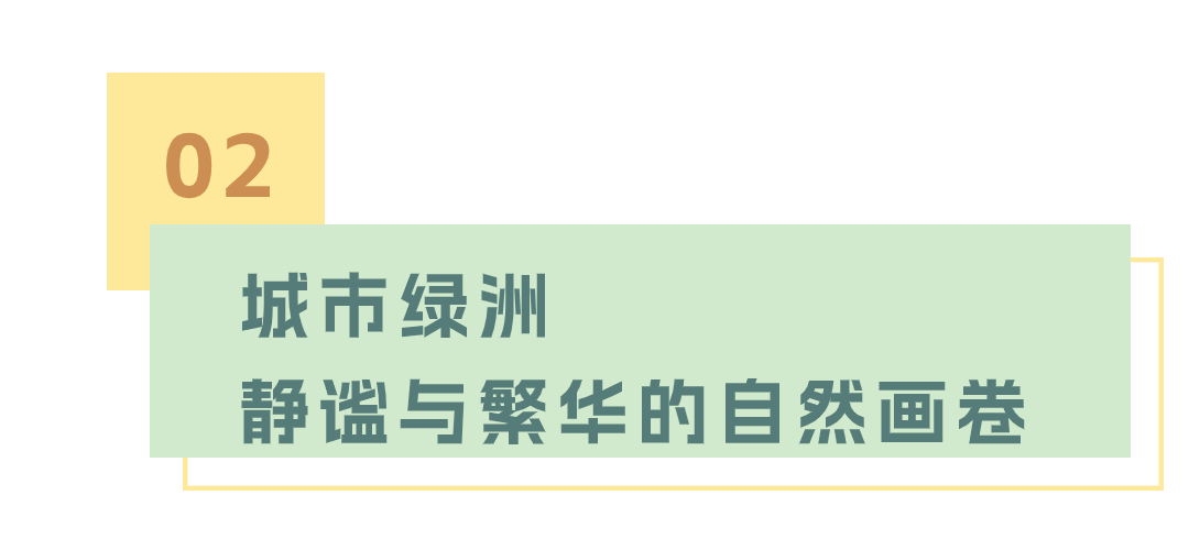 龙舟竞速，生态漫步！端午来看大沙河美如画