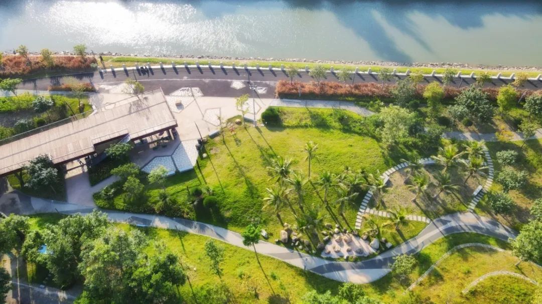 一秒圈“粉”！秋日限定浪漫花海，原来在这里