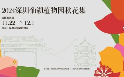 2024深圳仙湖植物园秋花集来了，去逛花海吧！