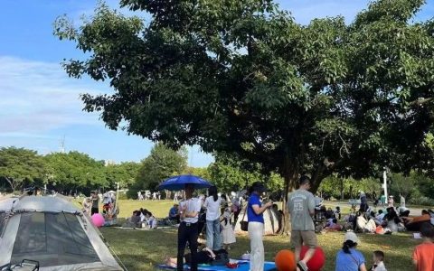 莲花山公园邀您免费坐无人驾驶观光车，开启奇妙探索之旅！