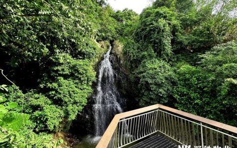 地铁直达！秋高气爽体验塘朗山栈道