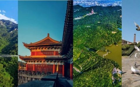 佛山这些景区免费开放