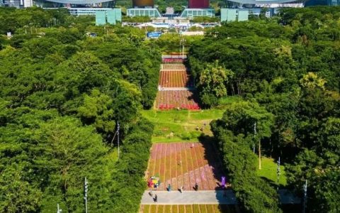 繁花织梦，缤纷花田 | 快来市民花田奔赴一场绚烂花宴~