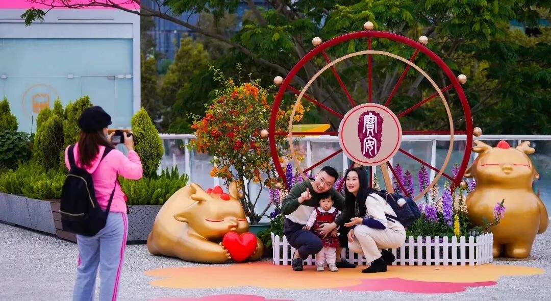 025宝安迎春花市定了！"