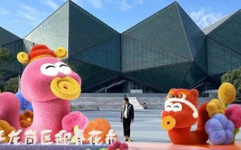 2025年龙岗区迎春花市主会场空降大运中心