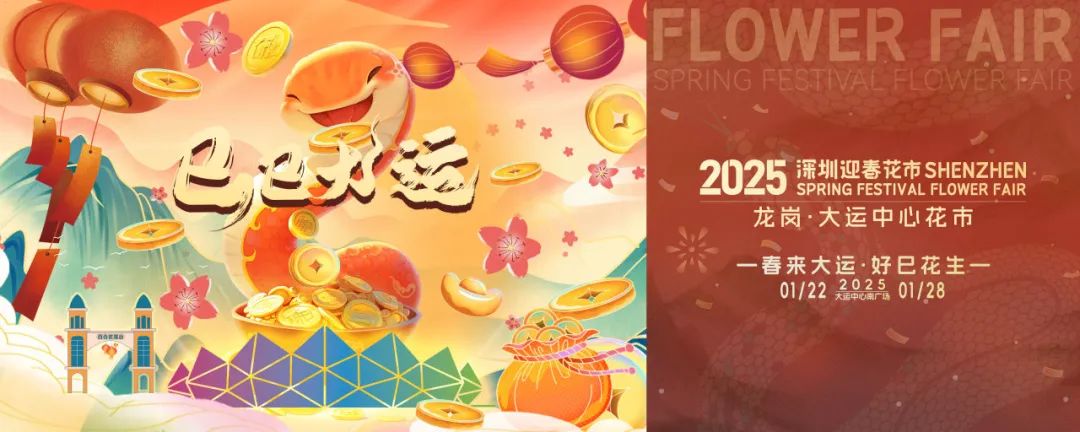2025深圳迎春花市，来了！