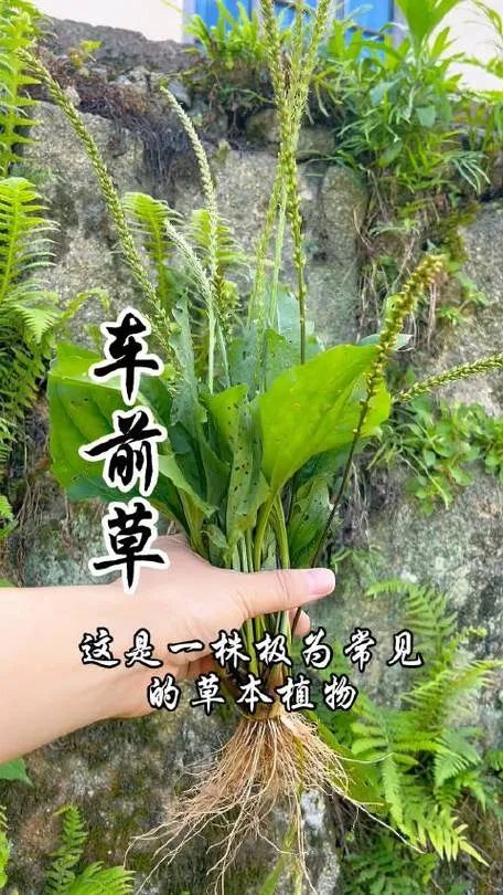 【免费预约】体验户外玩趣 | 玩转AI科技，拥抱健康！2月27日-3月1日福田会展中心等你来~~