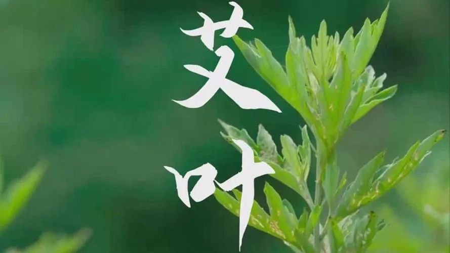 【免费预约】体验户外玩趣 | 玩转AI科技，拥抱健康！2月27日-3月1日福田会展中心等你来~~