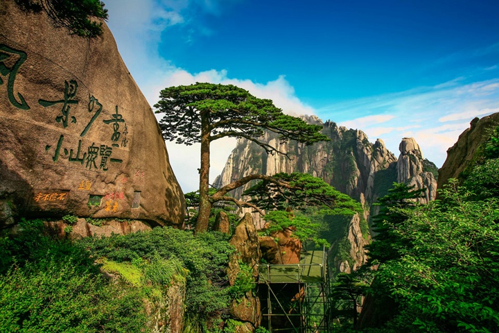 全国多地景区宣布免费或半价！
