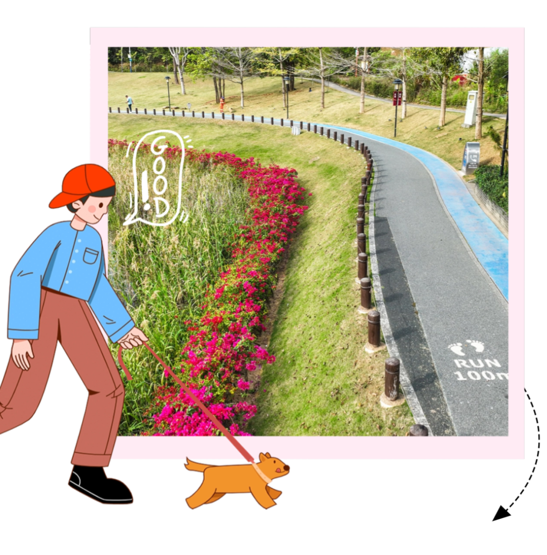 春分至！漫游大鹏这片浪漫花海→
