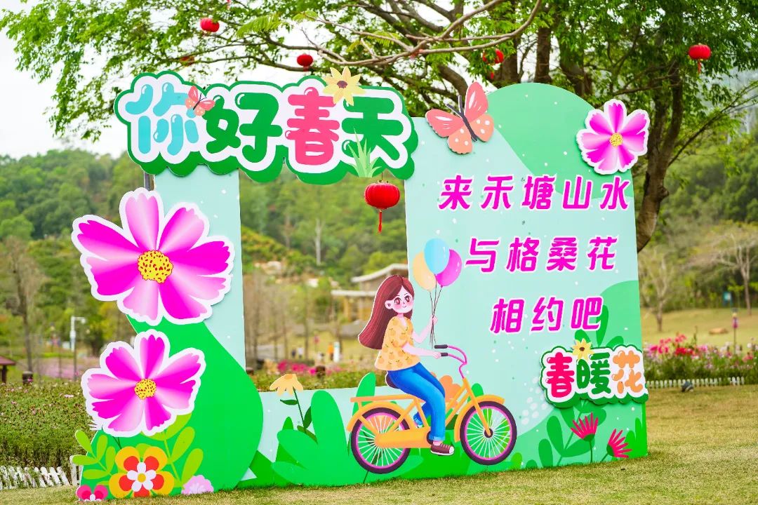 春分至！漫游大鹏这片浪漫花海→