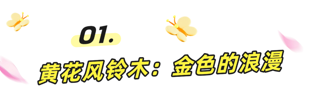 阳春三月一起来罗湖逛春天~