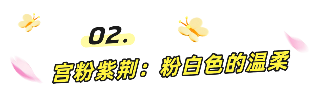 阳春三月一起来罗湖逛春天~