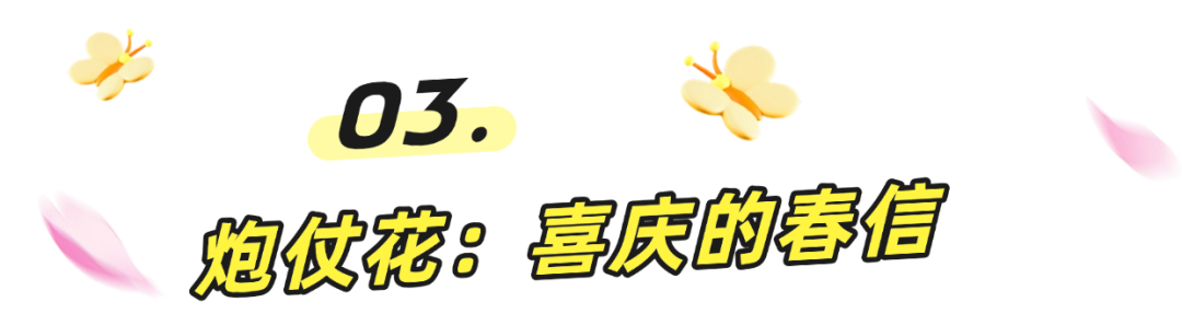 阳春三月一起来罗湖逛春天~