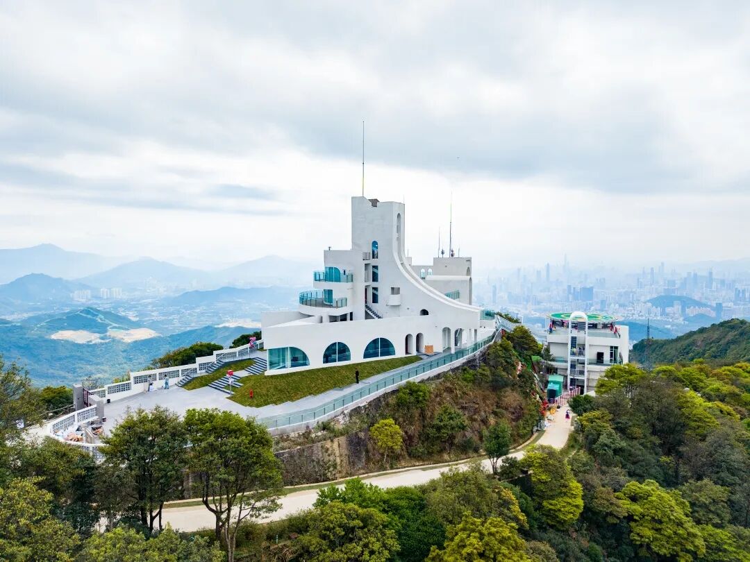 鹏城绝美新地标！“离天空最近”的梧桐阁正式开放