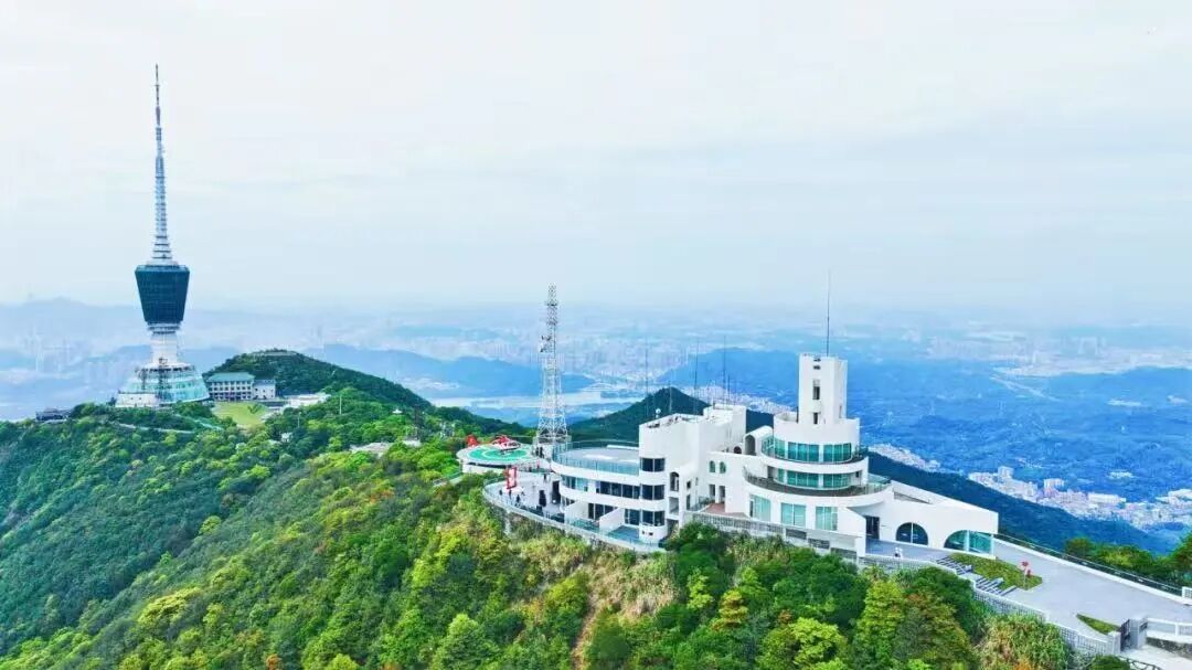 鹏城绝美新地标！“离天空最近”的梧桐阁正式开放