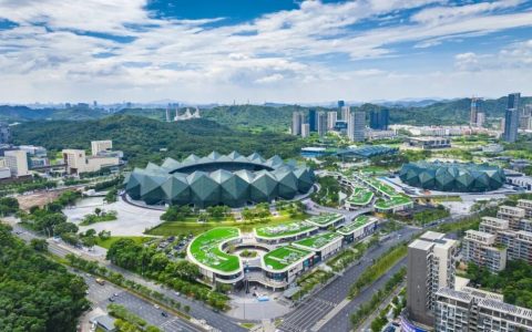 【免费报名】深圳大运中心青少年体育公益培训正式官宣！