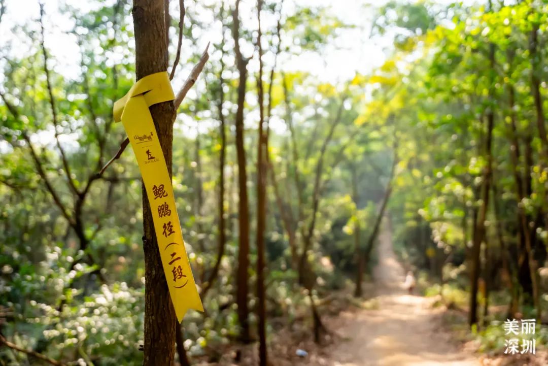 鲲鹏径第二段最新徒步攻略来啦！