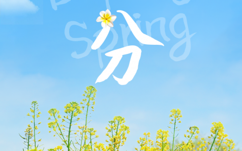 春分至，来大鹏闯进美到“犯规”的花海里～