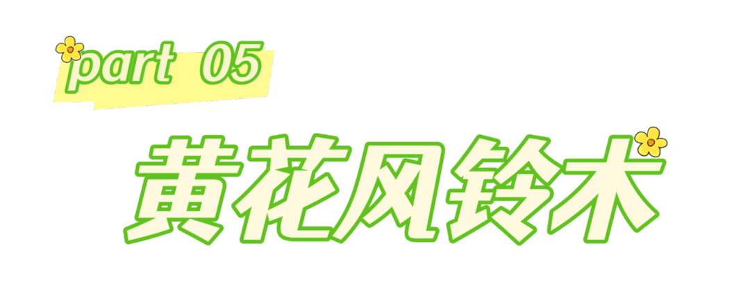 春分至，来大鹏闯进美到“犯规”的花海里～