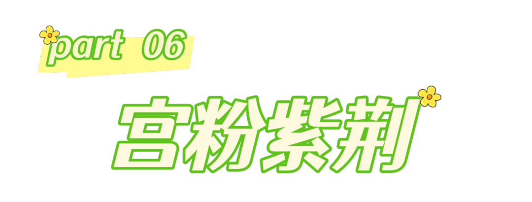 春分至，来大鹏闯进美到“犯规”的花海里～