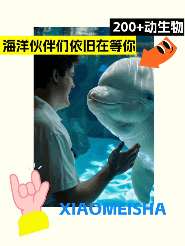 『小梅沙海洋世界』踏青季限时特惠！338元双人早鸟票，裸眼3D、全息投影，身临其境地感受海洋深处的奇妙与震撼！