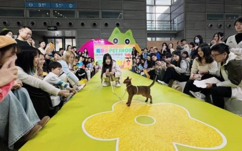 「深圳户外宠物文化周」空降龙华！带毛孩子来玩！
