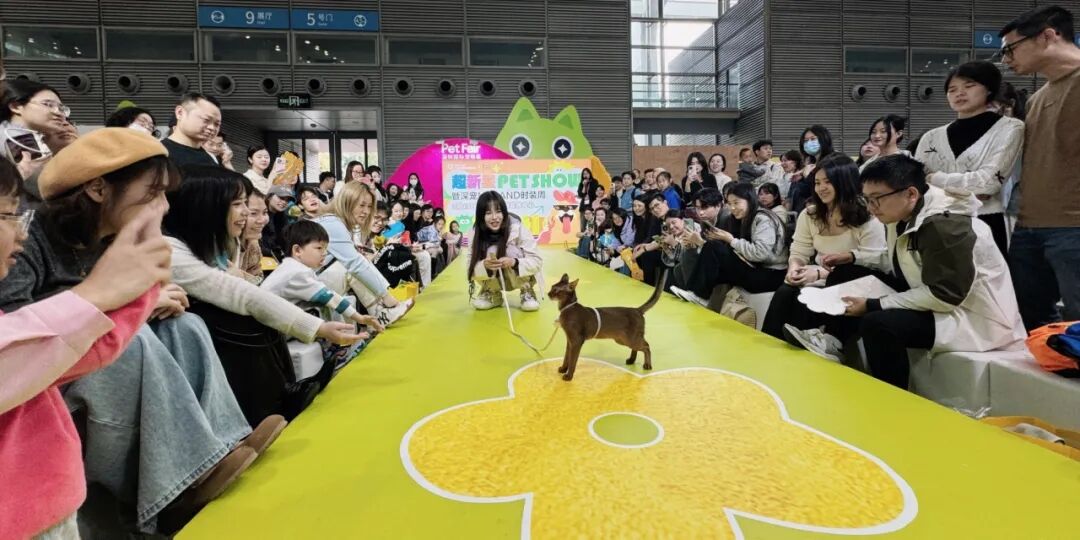 「深圳户外宠物文化周」空降龙华！带毛孩子来玩！