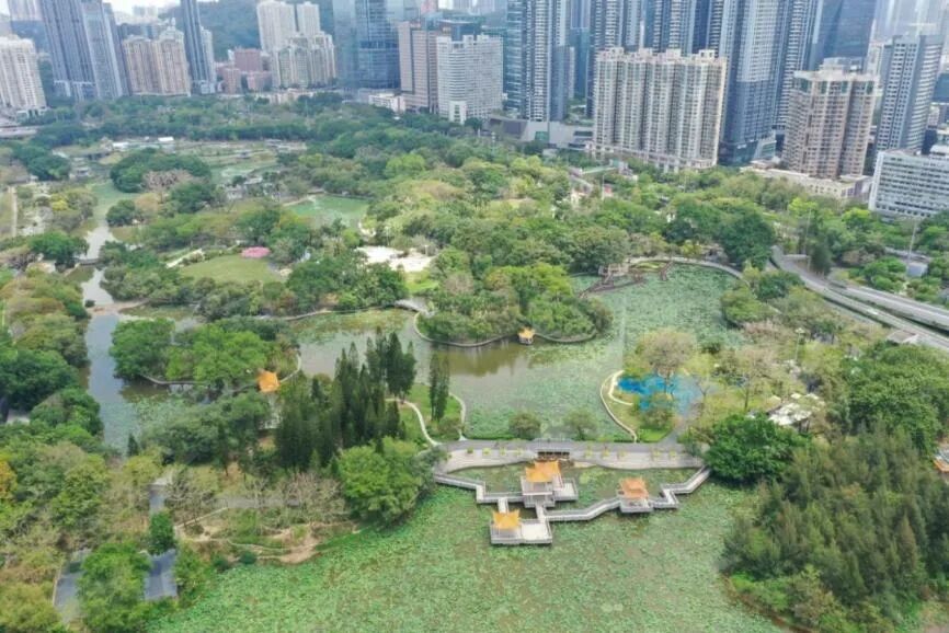 洪湖公园欢乐跑等你来报名！