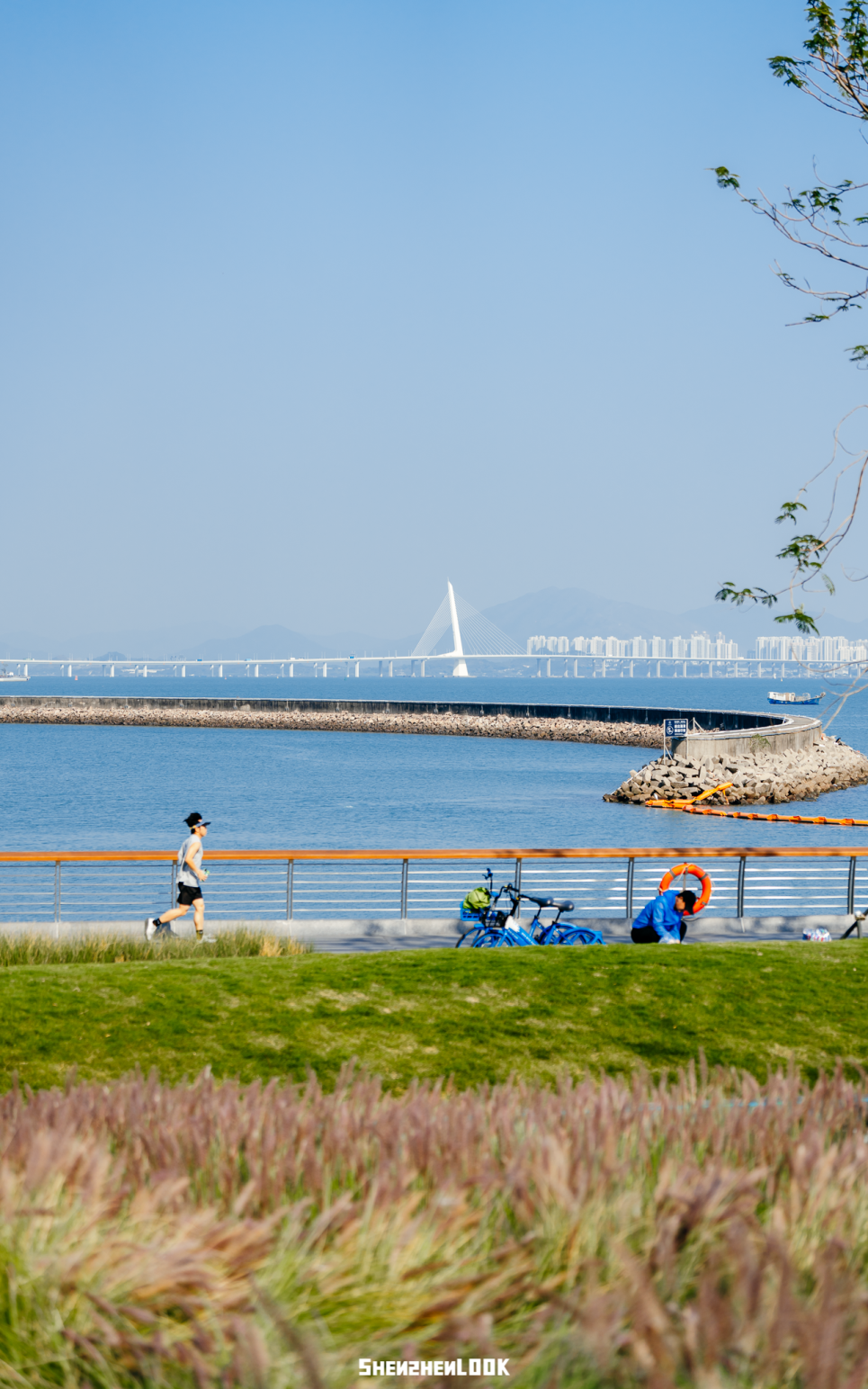 DSC08209.png