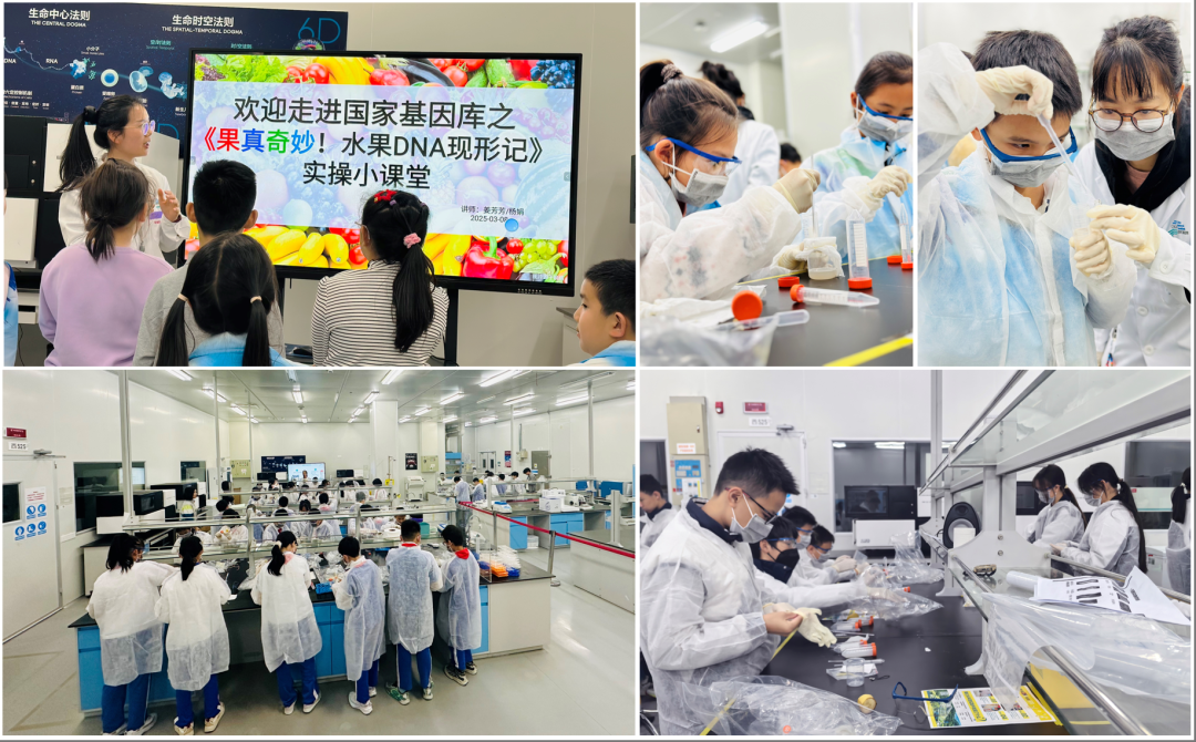 深圳国家基因库开放日科普嘉年华来啦！