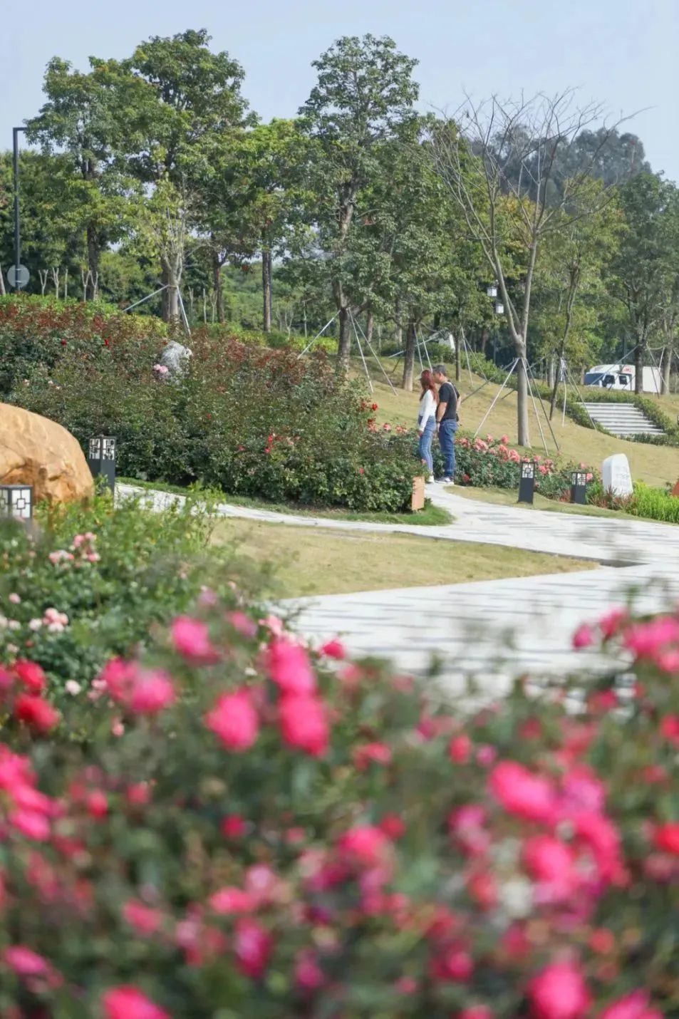 藏不住了！宝安的「踏青圣地」都在这了→