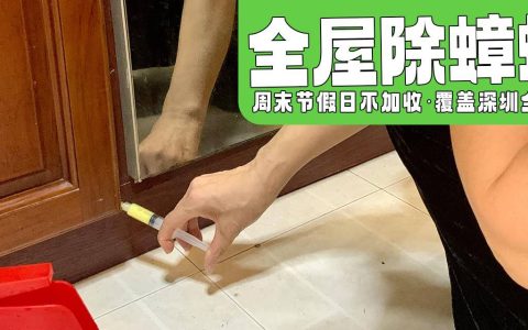 【全屋除蟑螂】深圳全区域专业除蟑螂上门服务 99元起
