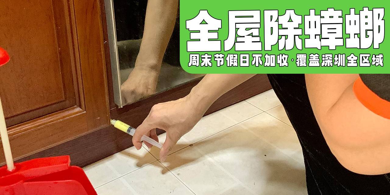 【全屋除蟑螂】深圳全区域专业除蟑螂上门服务 99元起