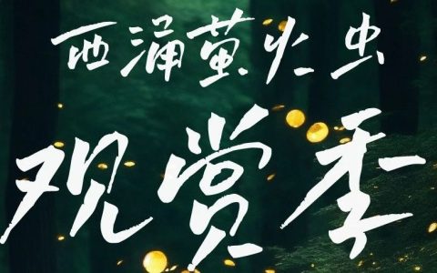 深圳西涌萤火虫观赏季来了！