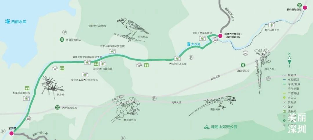深圳大沙河，在鲲鹏径第六段邂逅浪漫！