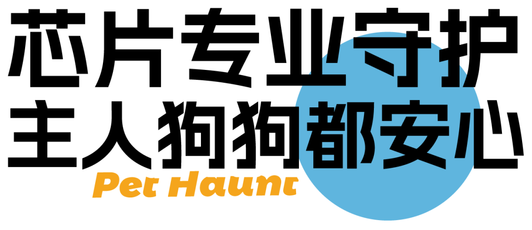 025美丽深圳城管行