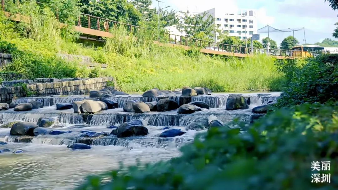 深圳大沙河，在鲲鹏径第六段邂逅浪漫！