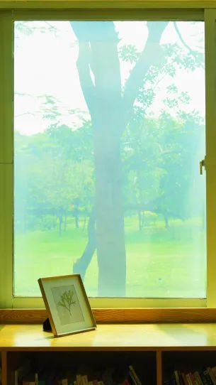 初夏，来福田河绿道拥抱绿意！