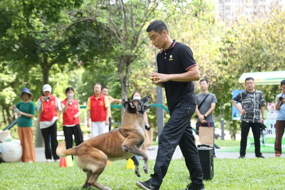 025美丽深圳城管行
