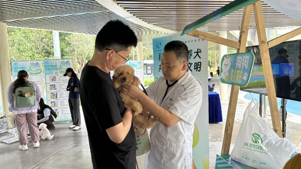 025美丽深圳城管行