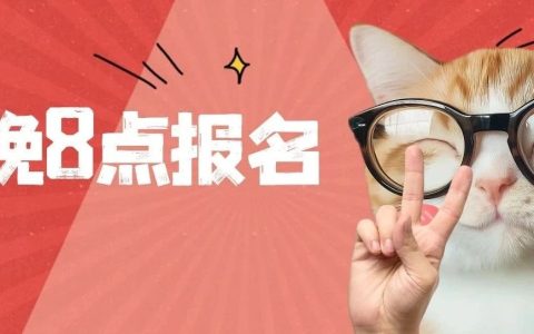 11+运动项目全免费！龙华体育公益培训上线→