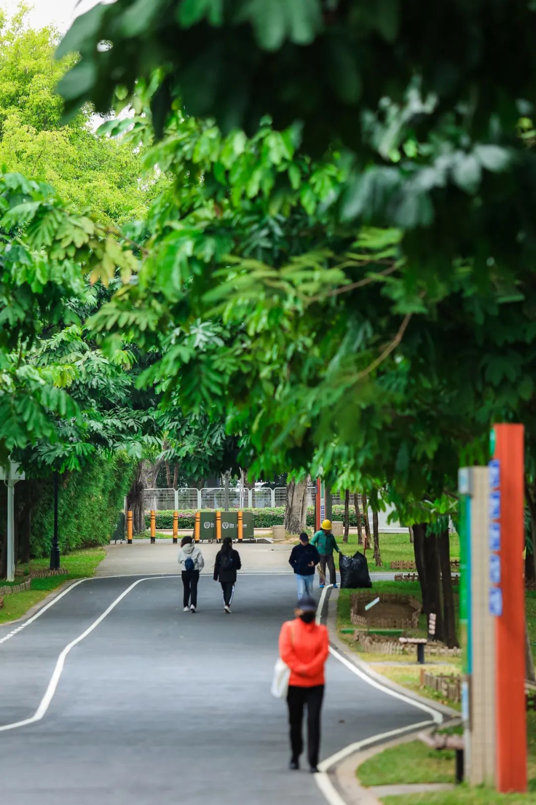 初夏，来福田河绿道拥抱绿意！