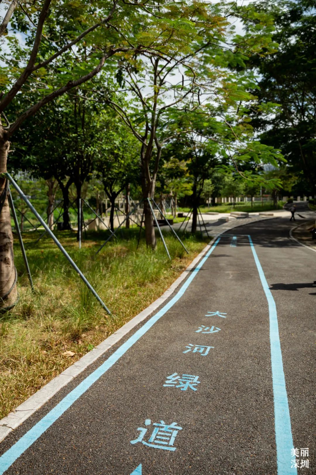 深圳大沙河，在鲲鹏径第六段邂逅浪漫！