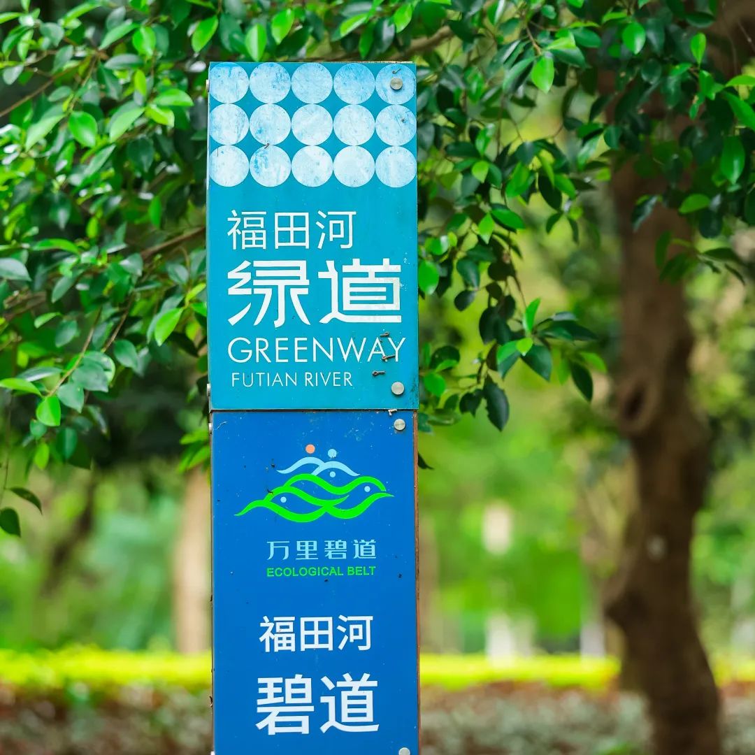 初夏，来福田河绿道拥抱绿意！