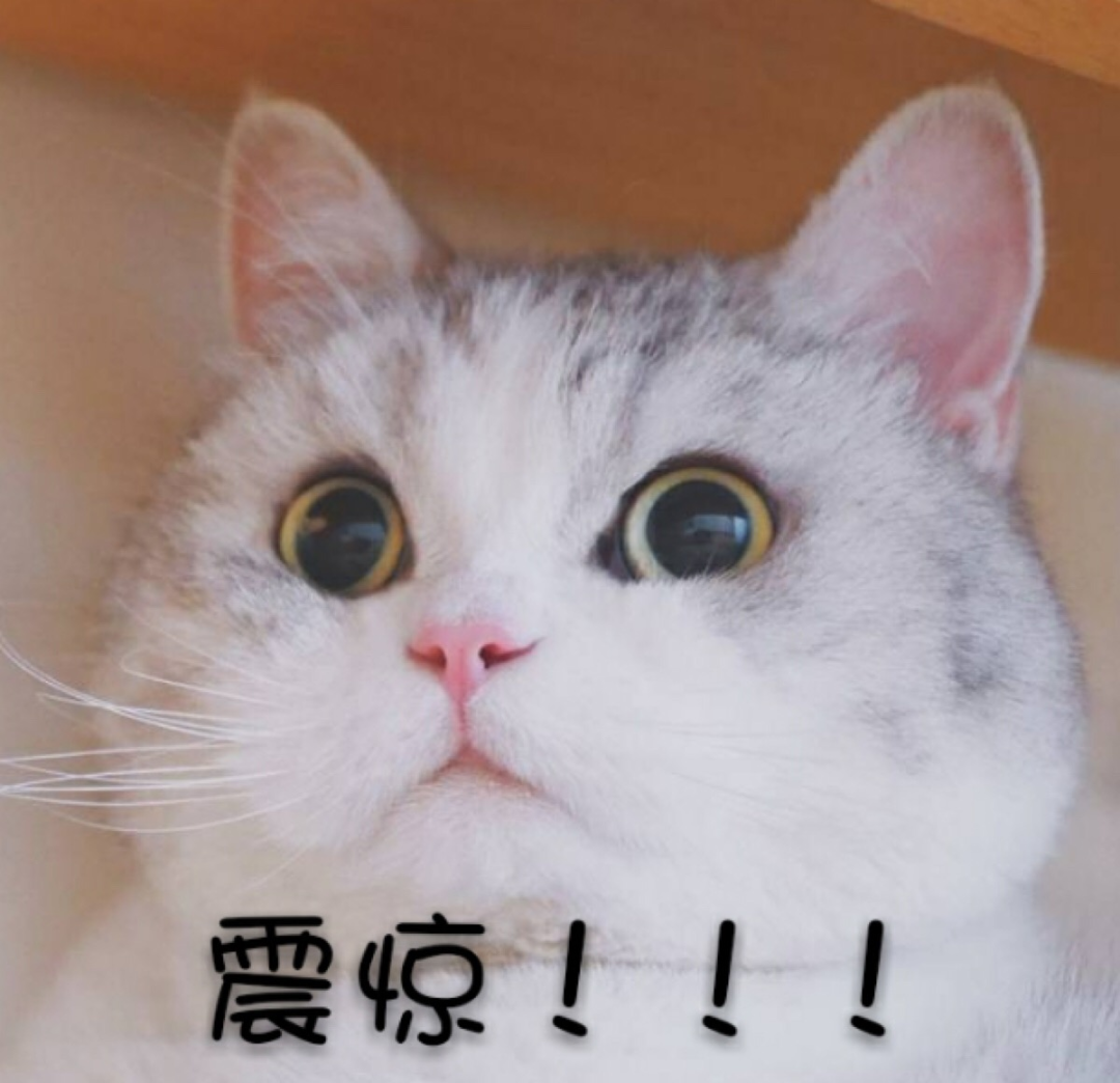 【在线领取】500-4000元！深圳人可在线申领这笔看牙补助！