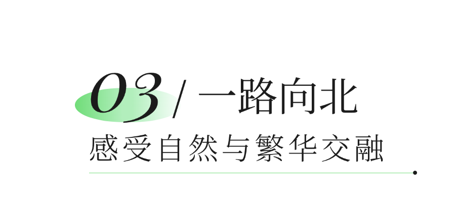 初夏，来福田河绿道拥抱绿意！